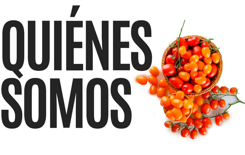 Quienes Somos